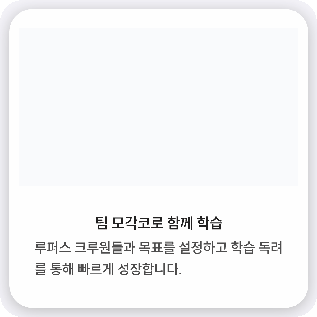 팀 모각코로 함께 학습